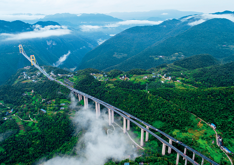 跨長(zhǎng)江大橋的招標(biāo)咨詢