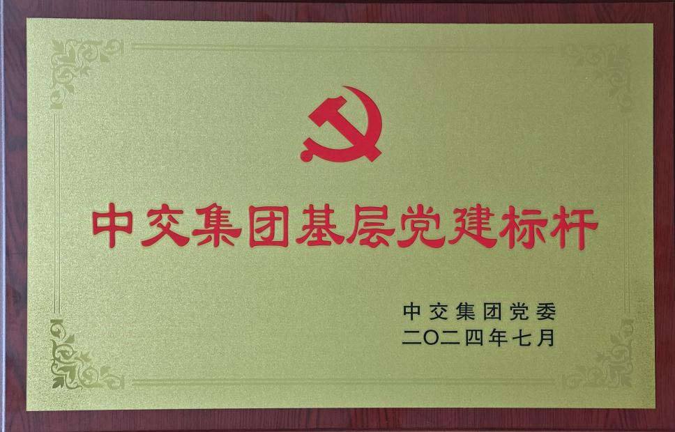 揚黨旗凝心聚力 謀發(fā)展提質(zhì)增效 以黨建標桿創(chuàng)建推動基層工作再深化